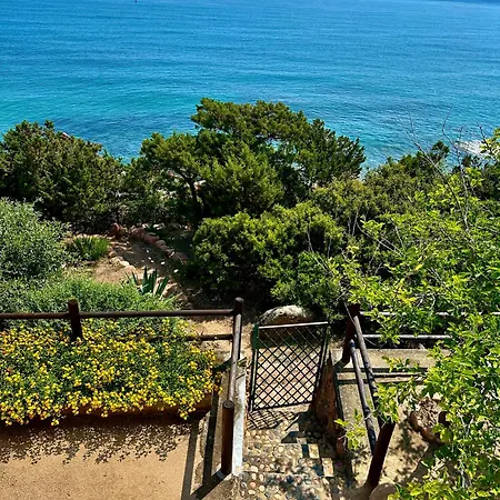 Giu Mar 2 Jennas * קרדדו