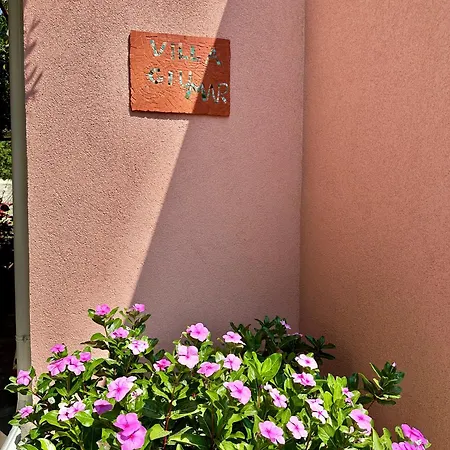 Giu Mar 2 Jennas Daire *